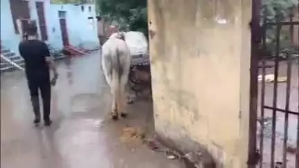 अन्ता: कंचनपुरी मोहल्ले में एक युवक ने सूदखोरों से परेशान होकर फंदा लगाकर आत्महत्या की