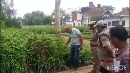 कुलपहाड़: मुख्य वन संरक्षक ने अजनर वन रेंज क्षेत्र का निरीक्षण किया, बीज बुआई कार्य शीघ्र पूर्ण करने के दिए निर्देश