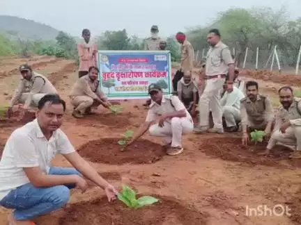 पलेरा: ग्राम परा,हरपुरा,महेबा में "एक पेड़ मां के नाम" के तहत वन विभाग द्वारा किया गया वृहद वृक्षारोपण