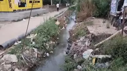 बेल्थरा रोड: फरसाटार की माइनर नहर सफाई के अभाव में नाली बन गई, किसानों की खेती प्रभावित