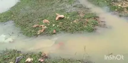 मसलिया: झमाझम बारिश से नदियों में उफान, खेतों में पानी भरने से अन्नदाता हुए परेशान