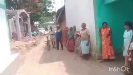 नगरी: बोदलबाहरा के जंगल में विचरण कर रहा है एक हाथी, वन विभाग ने आसपास के करीब 10 गांव में सतर्क रहने को लेकर कराई मुनादी