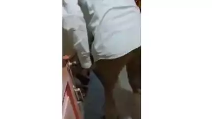 मालेगाव: शिरपूर येथील जानगीर महाराज संस्थान विठ्ठल मंदिर येथे आढळला घोणस जातीचा विषारी साप सर्पमित्राने दिले जीवदान