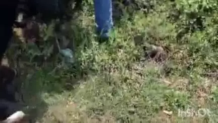 बसेड़ी: बसेड़ी क्षेत्र में विद्युत विभाग ने उतारे ट्रांसफार्मर, ₹16 लाख की वसूली की