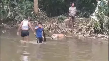 পুরুলিয়া ২: মফস্বল থানার পালঞ্জা এলাকায় ঝোপ থেকে অজ্ঞাত ব্যাক্তির মৃতদেহ উদ্ধার