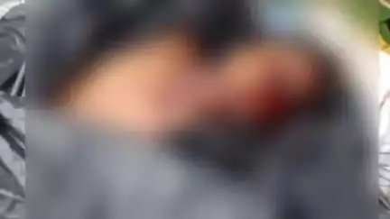 गोपद बनास: रामपुर के पास अनियंत्रित होकर पेड़ से टकराई एक तेज रफ़्तार बाइक, चालक की हुई मौत