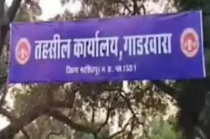 गाडरवारा: खबर का असर: गाडरवारा तहसील में मूंग पंजीयन कार्य जारी