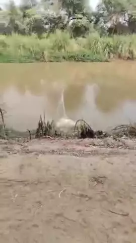 श्रीगंगानगर सिंचाई विभाग में पंजाब के सिंचाई विभाग के अधिकारियों की संयुक्त टीम ने दूसरे दिन भी गश्ती दल की कार्रवाई की