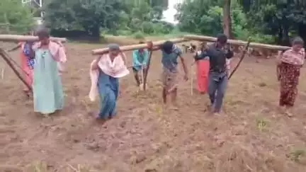 పాడేరు ఏజెన్సీలో భుజాలపై  నాగళ్లు పెట్టుకుని  లాగుతూ వినూత్న  రీతిలో నిరసన తెలిపిన  గిరిజన రైతులు