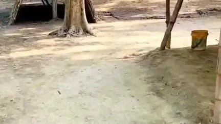 गोंडा: ग्राम पंचायत नरौरा अर्जुन में सड़क निर्माण न होने से लोग परेशान, आने-जाने में हो रही समस्या #jansamasya