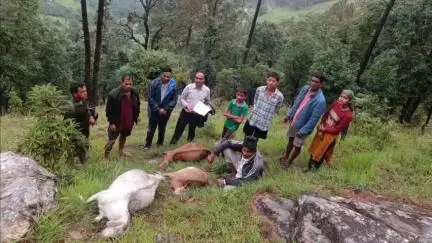 कांडा: आकाशीय बिजली गिरने से ढप्पटी गांव में एक पशुपालक की 3 बकरियों की हुई मौत, विभाग मौके पर पहुंचा