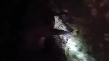 मिलक: बजरंग दल के नेताओं ने नरखेड़ा गांव के जंगल से 6 प्रतिबंधित पशुओं को वध से बचाया, पुलिस के अफसरों को दी जानकारी