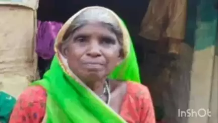 धमधा: नंदिनी में सांप के काटने से बुजुर्ग महिला की मौत