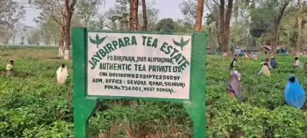 মাদারিহাট: রবিবার সন্ধ্যায় বন্ধ হয়ে গেল বীরপাড়া থানার জয়বীরপাড়া চা বাগান