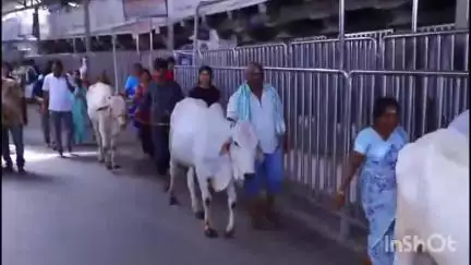 వేములవాడ: ఆదివారం సెలవు దినం సందర్భంగా అధిక సంఖ్యలో వేములవాడ రాజన్న ఆలయానికి  తరలివచ్చిన భక్తులు