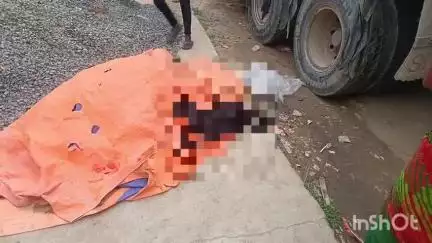 देवरी: देवरी के चतरो बाजार में तेज रफ्तार ट्रक ने बकरी को कुचला, मौके पर ही मौत