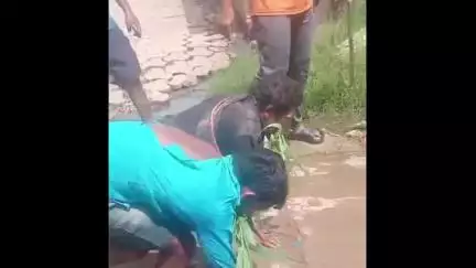 ଧରାକୋଟ: ଖାରିଗୁମା ଗ୍ରାମରେ କଙ୍ଗାରୁ କୋର୍ଟ, ଦୁଇ ବ୍ୟକ୍ତି ଙ୍କୁ ଅଧାଲଣ୍ଡା କରି ଗାଁ ବୁଲାଇବା ଭିଡ଼ିଓ ଭାଇରାଲ,ଥାନାରେ ଅଭିଯୋଗ#VIRALVIDEO