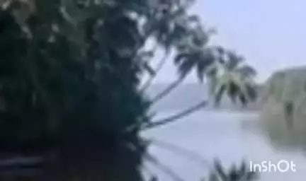 मालवण: कर्ली नदीपात्रात काळसे बागवाडीदरम्यान अनोळखी पुरुषाचा मृतदेह सापडला, मालवण पोलीस ठाण्यात नोंद