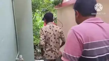 কোতুলপুর: সিনেমাতলা আনন্দপল্লিতে ব্যক্তির বাড়ি থেকে উদ্ধার চন্দ্রবোড়া সাপ