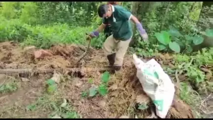বলরামপুর: দেওলি গ্রামে খড়ের গাদা থেকে পাইথন উদ্ধার করল বনদপ্তর