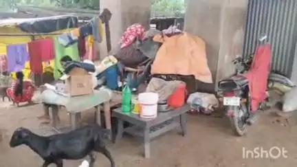 পুরুলিয়া ২: বৃষ্টির জেরে সাধুডাঙায় জলমগ্ন একাধিক এলাকা, ব্রিজের নিচে আশ্রয় নিয়েছেন বহু মানুষ #jansamasya