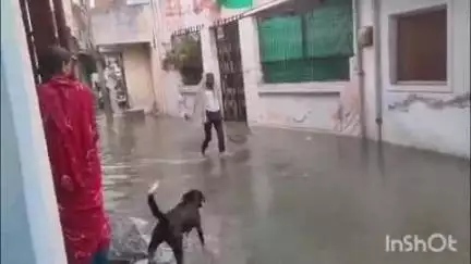 डबरा क्षेत्र में लगातार हो रही बारिश, नालियों की सफाई न होने से सड़कों पर भरा पानी