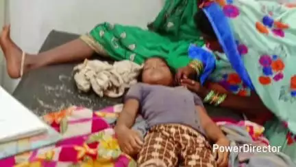 हर्रई: ग्राम मेंडकी में सर्पदंश से 10 वर्षीय बालिका की हुई मौत, पुलिस ने मामला किया दर्ज