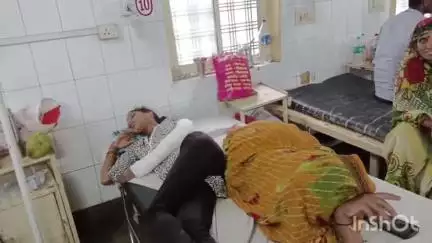 अशोक नगर: अथाई खेड़ा गांव में जामुन के पेड़ से गिरकर 14 वर्षीय किशोरी हुई घायल, अस्पताल में उपचार जारी