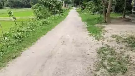 বামনগোলা: শিশকুড়িতে বারবার প্রশাসনকে জানিয়েও হয়নি পাকা রাস্তা, সংস্কারের কাজে হাত লাগানলেন স্থানীয়রা #jansamasya