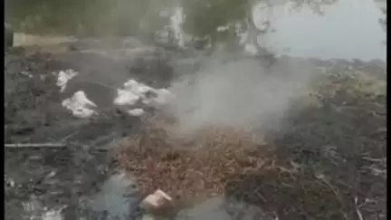 मोहाडी: करडी येथे हातभट्टीच्या दारू अड्ड्यावर करडी पोलिसांची धाड, ५ हजार रुपयांचा मुद्देमाल जप्त