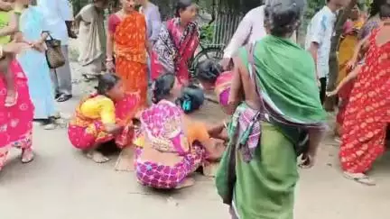 ধূপগুড়ি: ভান্ডানিতে ঘুমন্ত অবস্থায় সাপের ছোবলে মৃত্যু নাবালকের, পাঠানো হল ময়নাতদন্তে