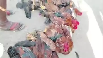போச்சம்பள்ளி: போச்சம்பள்ளி வார சந்தையில் ஆபத்தான நிலையில் நெடுஞ்சாலை ஓரத்தில் இயங்கும் கோழி மற்றும் புளி சந்தை - போக்குவரத்து இடையூறு