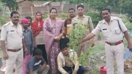 चांपा: महुदा गांव के बैराज के पास वन विभाग ने वृक्षारोपण कार्यक्रम का आयोजन किया