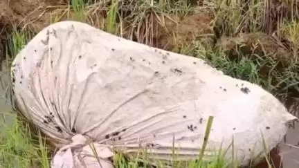 দাঁতন ১: রাউতরাপুর এলাকায় জমিতে সন্দেহজনক বস্তা পড়ে থাকা কেন্দ্র করে ব্যাপক ভিড় মানুষের