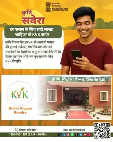 हर सुबह खेती की सही बात! 
जुड़े रहिए #KrishiSavera के साथ और शेयर करें अपनी टिप्स। 

#Agrigoi #Farmingtips