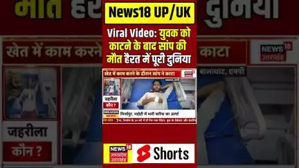 Viral Video: युवक को काटने के बाद सांप की मौत, हैरत में पूरी दुनिया | Balaghat | MP | Ajab Gajab