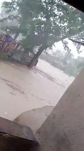 ग्राम रिजोदा में भारी बारिश के साथ बाढ़ आई है @@@#