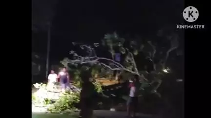 শদিয়া: শদিয়াত নিশা ধুমুহাত বাগৰি পৰা গছৰ মাজত বাইক সোমাই গুৰুতৰ ভাৱে আহত চালক