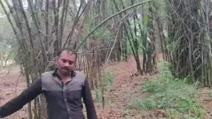 बैनामा शून्य के बाद न रहने पर चोरी से बांस की चोरी करते हुऐ मौका मै दू भीलर, तंगी मिली प्रकरण लंबित है कोर्ट मै @###@@@@