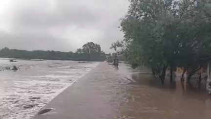 दतिया: जिले में भारी बारिश से भांडेर की पहूज नदी में आया उफान, पुलिस ने वेरीगेट लगाकर बंद किया आवागमन