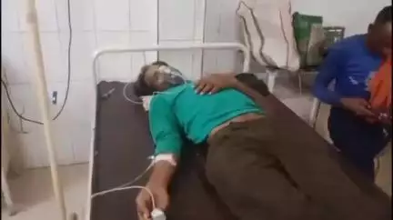 शिवपुरी नगर: खोंकर गांव में टपरिया बनाते समय एक युवक को ज़हरीले सांप ने काटा, जिला अस्पताल में भर्ती