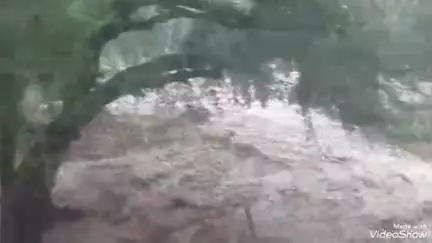 मालपुरा: मालपुरा क्षेत्र के घाटी, टोरडी व अम्बापुरा में हुई मूसलाधार बरसात, दर्जनों एनिकट टूटे, गांव में घुसा पानी