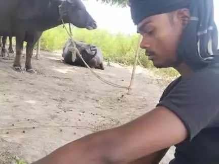 Nonha भैंस गाय को रहने में दिक्कत#trending