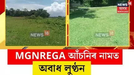 MGNREGA Scheme। MGNREGA আঁচনিৰ নামত অবাধ লুণ্ঠনৰ অভিযোগ। N18V