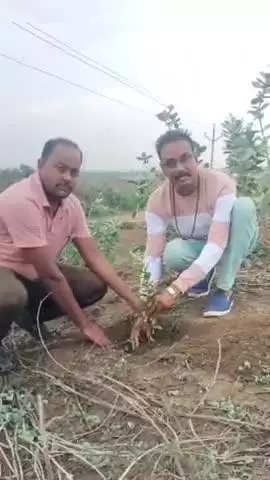 सिमगा: कामता में किया गया सघन वृक्षारोपण, सरपंच, सचिव सहित अन्य भी रहे उपस्थित