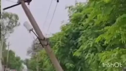 पलवल: एसआरएस सिटी सेक्टर 6 के सामने वाहन की टक्कर से बिजली का खंबा टूटा, बिजली विभाग से खंबा बदलने का अनुरोध