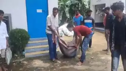 পূর্বস্থলী ১: ডেঙোর পাড়া এলাকায় পাটের জমিতে কাজে গিয়ে বাজ পড়ে মৃত্যু কৃষকের