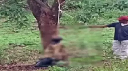 चिखलदरा: मोझरी पॉईंट परिसरात झाडाला लटकलेला अवस्थेत आढळला मृतदेह;जागीच केला पंचनामा