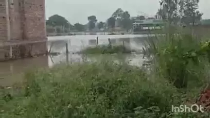 अखिलेश पुरम वार्ड नंबर 5 में सड़कों सहित मोहल्ले में जलभराव का वीडियो सोशल मीडिया पर हुआ वायरल
