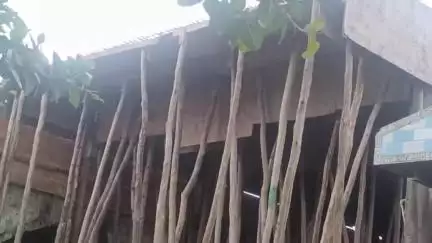 फतेहाबाद: पुरानी तहसील में मंदिर के जीर्णोद्धार में घटिया सामग्री के उपयोग की शिकायत पर सभासदों ने दिया धरना